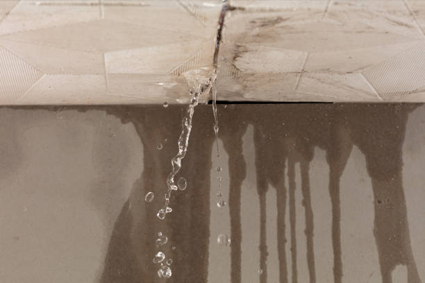 Professional Water Extraction technician working in Elsie, MI